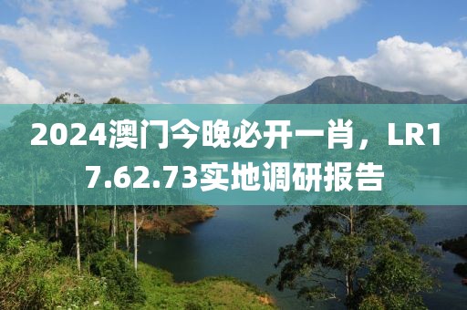 2024澳门今晚必开一肖，LR17.62.73实地调研报告