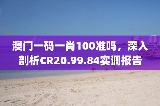 澳门一码一肖100准吗，深入剖析CR20.99.84实调报告