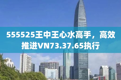 555525王中王心水高手，高效推进VN73.37.65执行