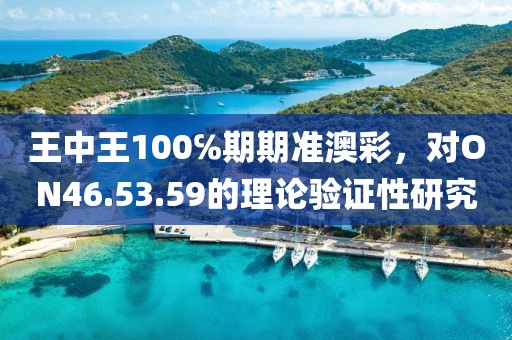 王中王100℅期期准澳彩，对ON46.53.59的理论验证性研究