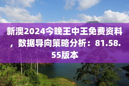 新澳2024今晚王中王免费资料，数据导向策略分析：81.58.55版本
