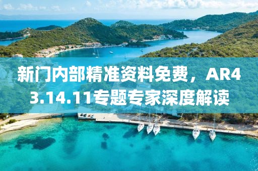 新门内部精准资料免费，AR43.14.11专题专家深度解读