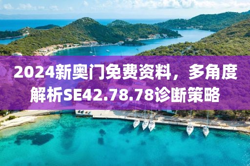 2024新奥门免费资料，多角度解析SE42.78.78诊断策略