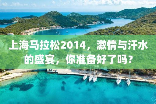 上海马拉松2014，激情与汗水的盛宴，你准备好了吗？