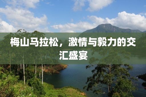 梅山马拉松，激情与毅力的交汇盛宴