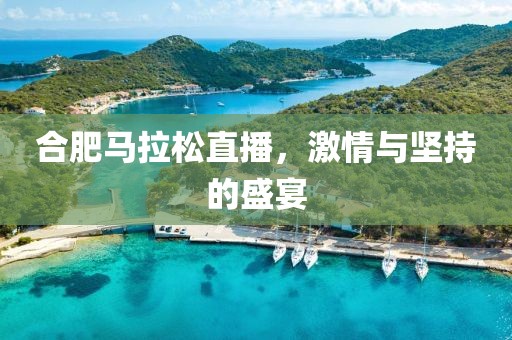 合肥马拉松直播，激情与坚持的盛宴