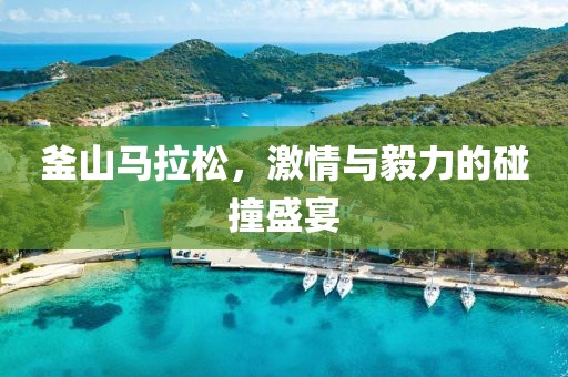 釜山马拉松，激情与毅力的碰撞盛宴