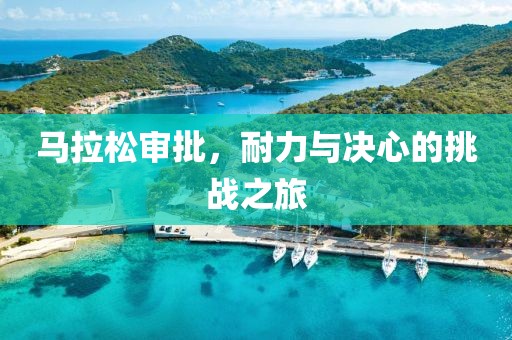 马拉松审批，耐力与决心的挑战之旅