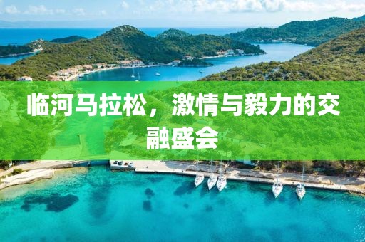 临河马拉松，激情与毅力的交融盛会