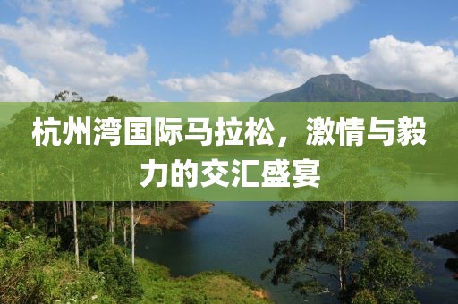 杭州湾国际马拉松，激情与毅力的交汇盛宴