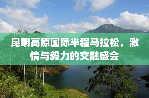 昆明高原国际半程马拉松，激情与毅力的交融盛会