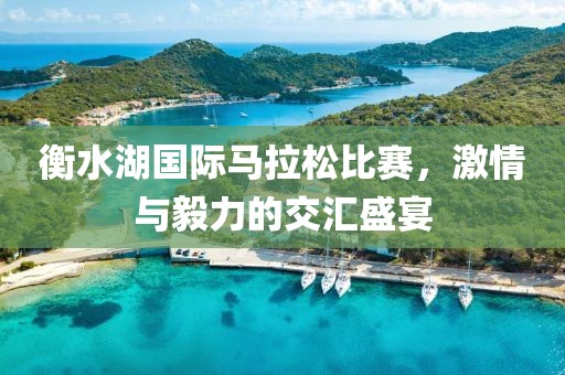 衡水湖国际马拉松比赛，激情与毅力的交汇盛宴