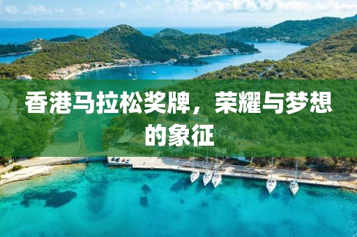 香港马拉松奖牌，荣耀与梦想的象征