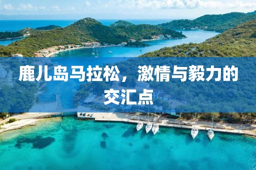 杭州马拉松 第485页
