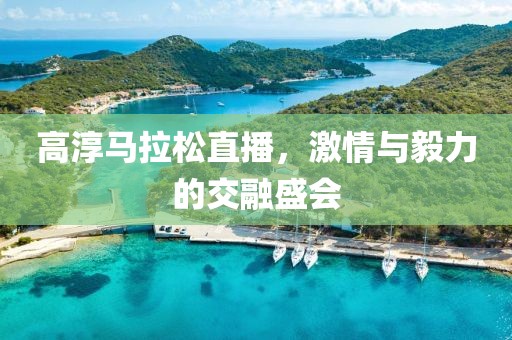 高淳马拉松直播，激情与毅力的交融盛会