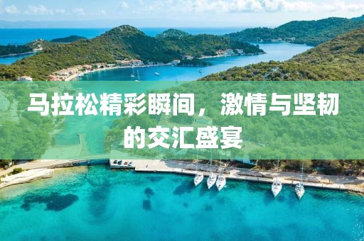 马拉松精彩瞬间，激情与坚韧的交汇盛宴