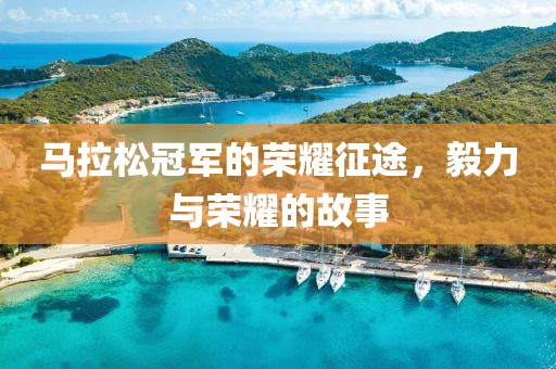 马拉松冠军的荣耀征途，毅力与荣耀的故事