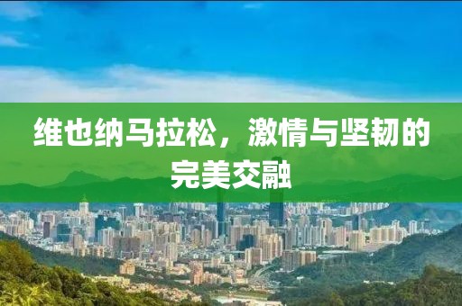 维也纳马拉松，激情与坚韧的完美交融