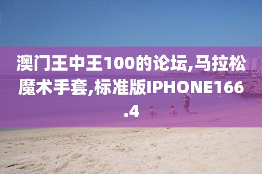 澳门王中王100的论坛,马拉松魔术手套,标准版IPHONE166.4