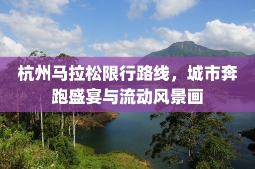 杭州马拉松限行路线，城市奔跑盛宴与流动风景画