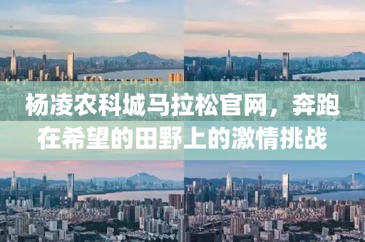 杭州马拉松 第460页