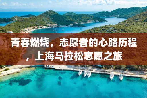 青春燃烧，志愿者的心路历程，上海马拉松志愿之旅