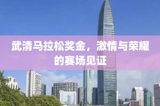 武清马拉松奖金，激情与荣耀的赛场见证