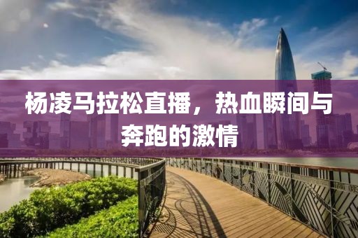 杨凌马拉松直播，热血瞬间与奔跑的激情