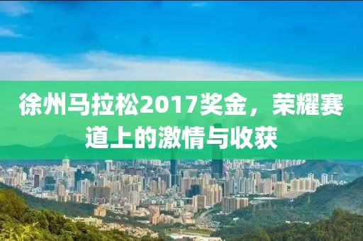徐州马拉松2017奖金，荣耀赛道上的激情与收获