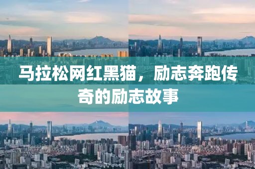 马拉松网红黑猫，励志奔跑传奇的励志故事