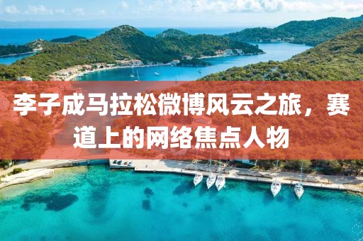 李子成马拉松微博风云之旅，赛道上的网络焦点人物