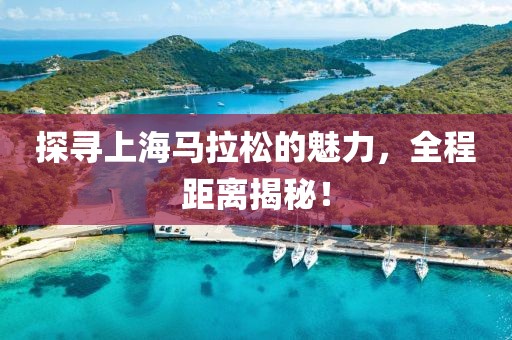 探寻上海马拉松的魅力，全程距离揭秘！