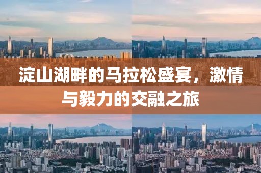 淀山湖畔的马拉松盛宴，激情与毅力的交融之旅