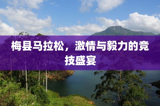 半城伤御伤魂 第24页