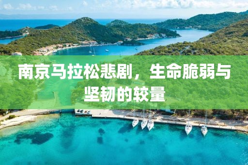 南京马拉松悲剧，生命脆弱与坚韧的较量