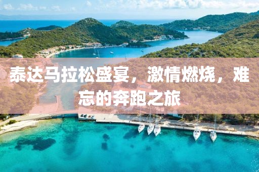泰达马拉松盛宴，激情燃烧，难忘的奔跑之旅
