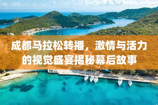 成都马拉松转播，激情与活力的视觉盛宴揭秘幕后故事