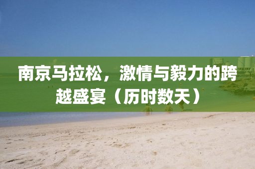 南京马拉松，激情与毅力的跨越盛宴（历时数天）