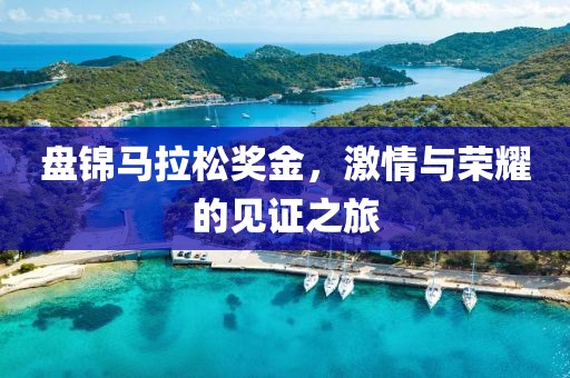 盘锦马拉松奖金，激情与荣耀的见证之旅