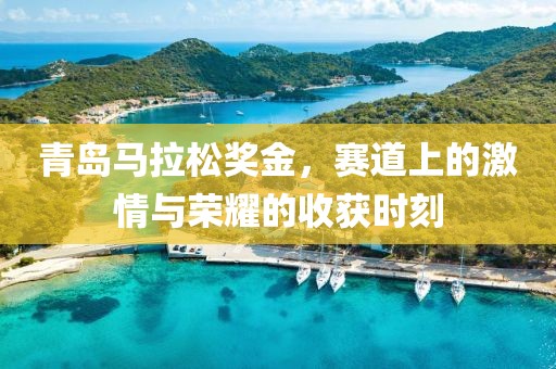 青岛马拉松奖金，赛道上的激情与荣耀的收获时刻