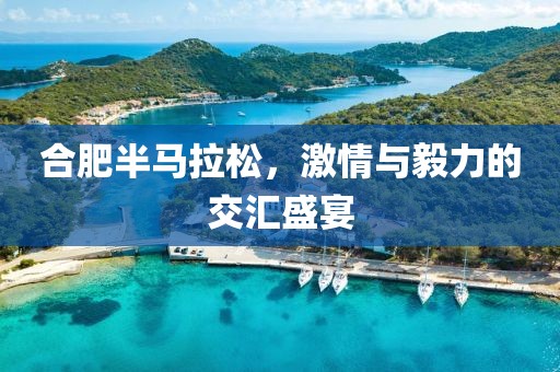 合肥半马拉松，激情与毅力的交汇盛宴