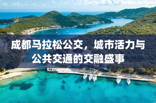 成都马拉松公交，城市活力与公共交通的交融盛事