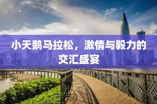 小天鹅马拉松，激情与毅力的交汇盛宴