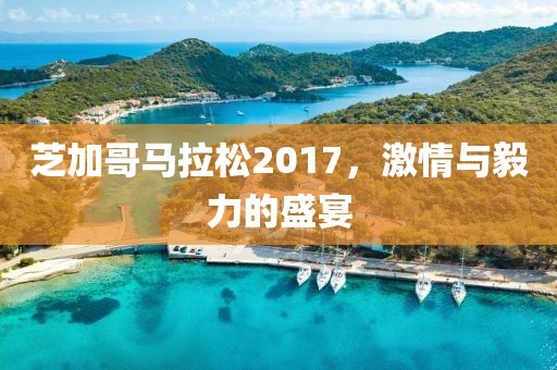 芝加哥马拉松2017，激情与毅力的盛宴