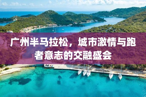 广州半马拉松，城市激情与跑者意志的交融盛会