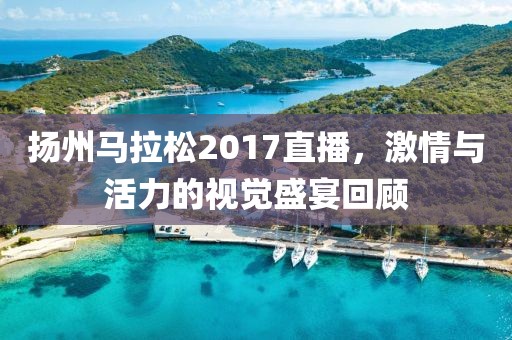 扬州马拉松2017直播，激情与活力的视觉盛宴回顾