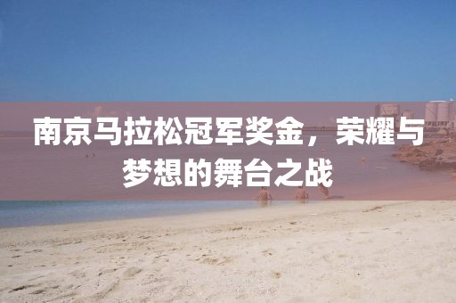南京马拉松冠军奖金，荣耀与梦想的舞台之战