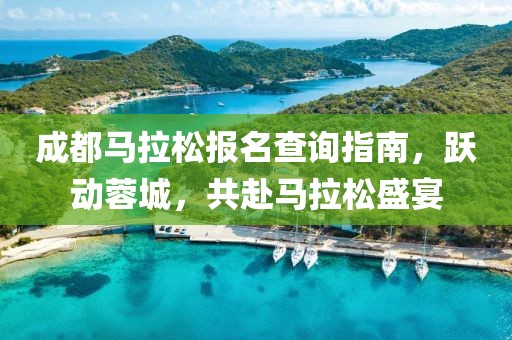 成都马拉松报名查询指南，跃动蓉城，共赴马拉松盛宴