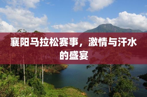 襄阳马拉松赛事，激情与汗水的盛宴