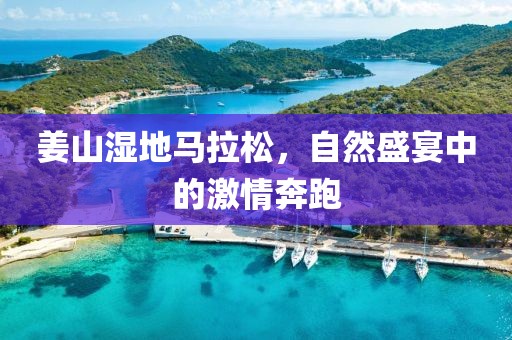 姜山湿地马拉松，自然盛宴中的激情奔跑